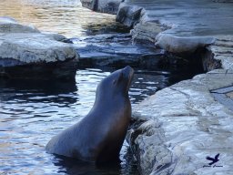 Tiergarten Schönbrunn am 27.01.2026